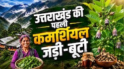 1903 में पहाड़ पर हुआ था कुछ ऐसा, जिसने आने वाले वर्षों की कहानी ही बदल दी