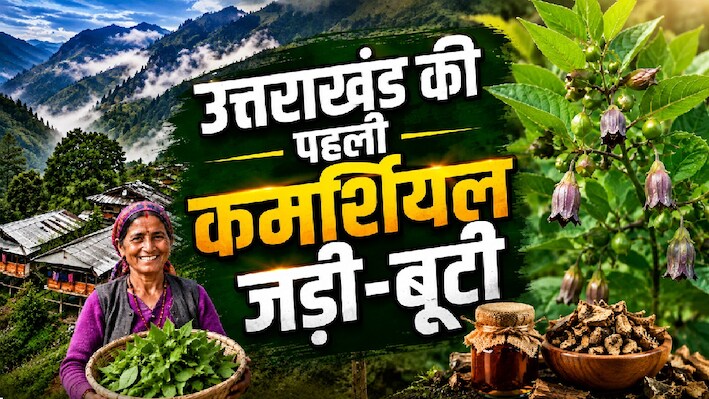 1903 में पहाड़ पर हुआ था कुछ ऐसा, जिसने आने वाले वर्षों की कहानी ही बदल दी