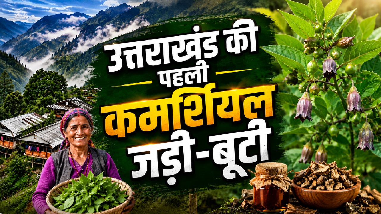 1903 में पहाड़ पर हुआ था कुछ ऐसा, जिसने आने वाले वर्षों की कहानी ही बदल दी 1903 में पहाड़ पर हुआ था कुछ ऐसा, जिसने आने वाले वर्षों की कहानी ही बदल दी