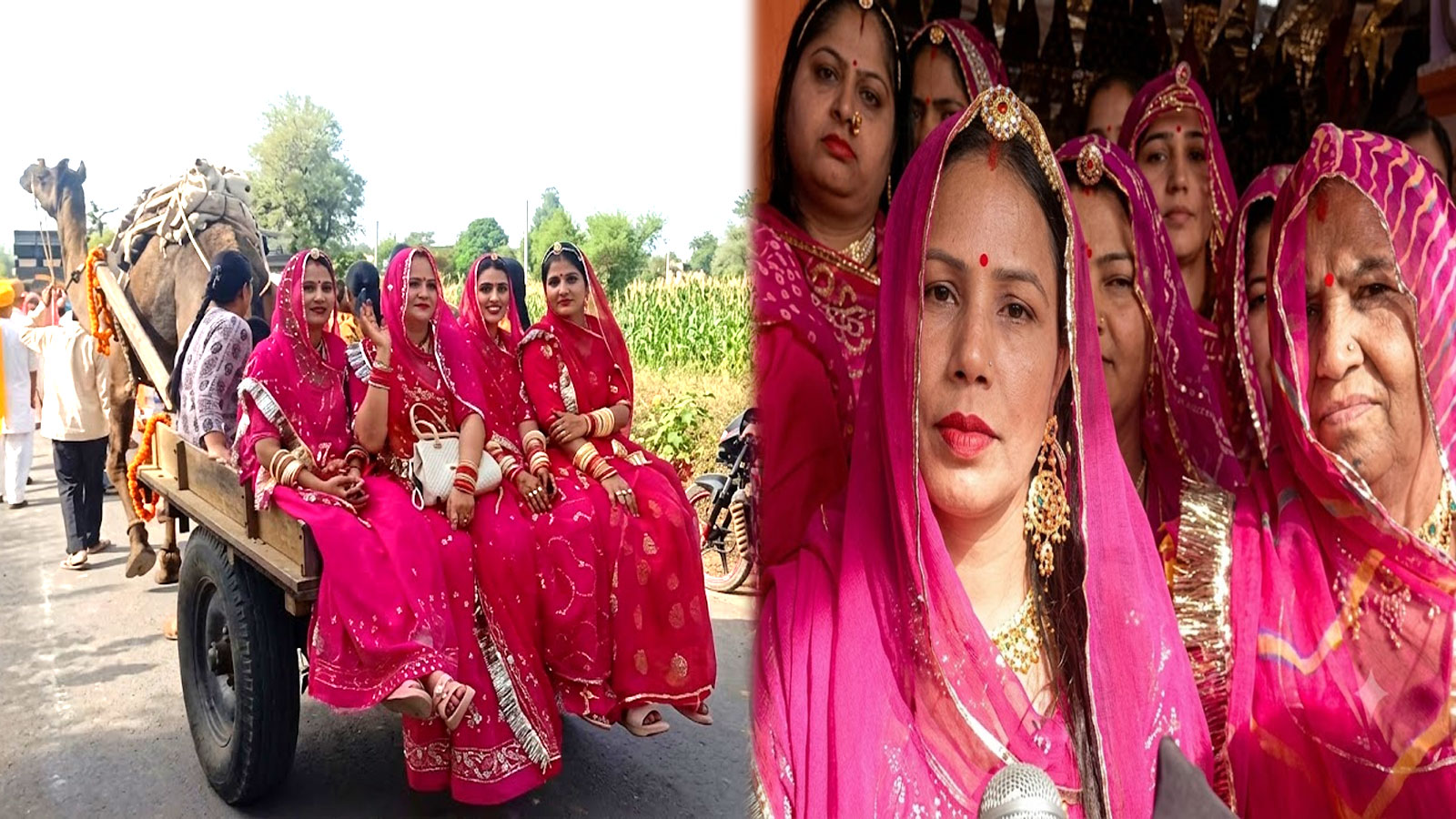 खेतड़ी के ढाणी बाढ़ान में बाइसा स्नेह मिलन-2026, वर्षों बाद मिलीं 700 बहन-बेटियां तो छलक पड़े आंसू खेतड़ी के ढाणी बाढ़ान में बाइसा स्नेह मिलन-2026, वर्षों बाद मिलीं 700 बहन-बेटियां तो छलक पड़े आंसू