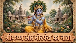 Janmashtami 2026: भगवान श्रीकृष्ण यूं ही नहीं धारण करते हैं मोरपंख, इस श्रृंगार से देते हैं कुंडली के एक बड़े दोष को मात!