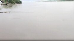 मुंगेर में गंगा का कहर: दियारा-निचले इलाकों में फैला बाढ़ का पानी, कुतलुपुर में कटाव से दहशत