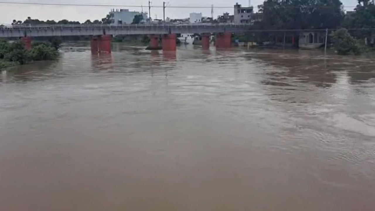 जहानाबाद: दरधा-यमुने नदी में आया उफान, जाफरगंज-अंबेडकर नगर में घुसा बाढ़ का पानी, कई गांवों का संपर्क टूटा जहानाबाद: दरधा-यमुने नदी में आया उफान, जाफरगंज-अंबेडकर नगर में घुसा बाढ़ का पानी, कई गांवों का संपर्क टूटा