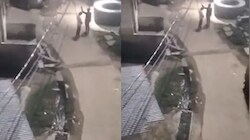 दानापुर में बेखौफ बदमाशों ने की खुलेआम फायरिंग, 8 खोखे बरामद, वायरल वीडियो से मचा हड़कंप