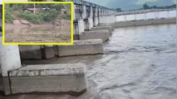 गंडक नदी में आ रहीं 'अज्ञात' मछलियां, बगहा प्रशासन ने जारी किया अलर्ट
