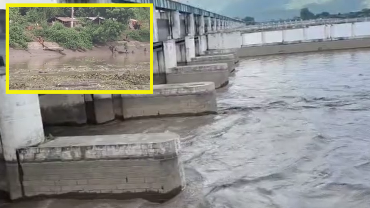 गंडक नदी में आ रहीं 'अज्ञात' मछलियां, बगहा प्रशासन ने जारी किया अलर्ट गंडक नदी में आ रहीं 'अज्ञात' मछलियां, बगहा प्रशासन ने जारी किया अलर्ट