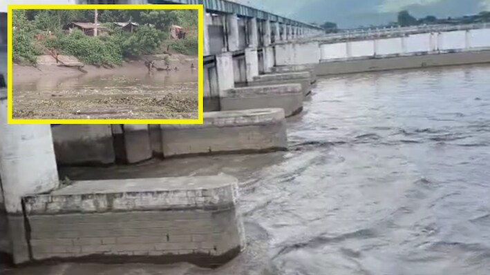 गंडक नदी में आ रहीं 'अज्ञात' मछलियां, बगहा प्रशासन ने जारी किया अलर्ट
