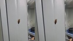 राजधानी एक्सप्रेस में बर्थ पर दिखा कॉकरोच, रेलवे की सफाई व्यवस्था पर सवाल