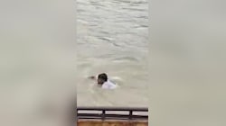 हरिद्वार में देवदूत बने गोताखोर, गंगा में डूब रहे बुजुर्ग को मौत के मुंह से खींच लाए युवक; देखें वायरल वीडियो
