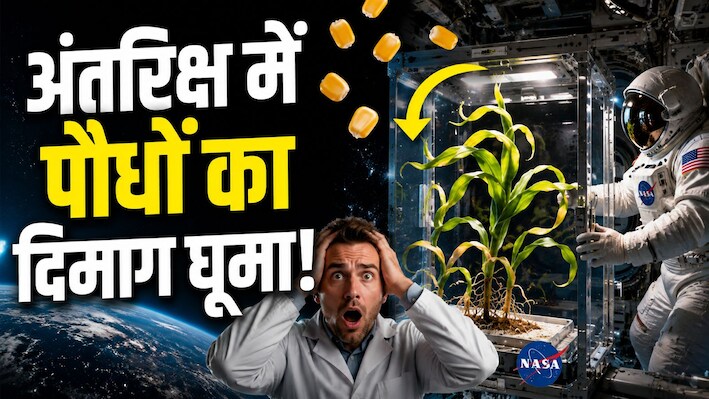 अंतरिक्ष में नासा ने बोए मकई के बीज और फिर जो हुआ, देख वैज्ञानिक हैरान... क्यों स्पेस में दिशा भूल जाते हैं पौधे?