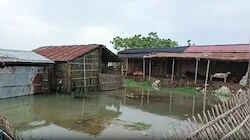 कोसी के बढ़ते जलस्तर से मधेपुरा में बाढ़ का खतरा, चौसा, आलमनगर के निचले इलाकों में आया पानी