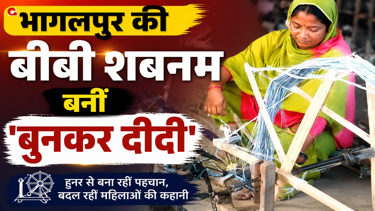 भागलपुर की बीबी शबनम बनीं 'बुनकर दीदी', रेशमी धागों से संवारी तकदीर, पढ़िए सफलता की कहानी भागलपुर की बीबी शबनम बनीं 'बुनकर दीदी', रेशमी धागों से संवारी तकदीर, पढ़िए सफलता की कहानी