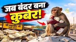 महिला का पर्स छीनकर छत पर चढ़ा बंदर, 40 हजार के नोट हवा में उड़ाए