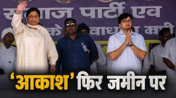 'नाराज' बुआ ने भतीजे आकाश से क्यों छीन लिया उत्तराधिकारी का ताज? Inside Story