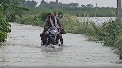 Begusarai Flood: गंगा के रौद्र रूप से सिहमा पंचायत में मचा हाहाकार, घरों में घुसा पानी, छतों पर रहने को मजबूर ग्रामीण