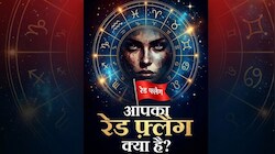 खुल जाएगी पर्सनालिटी की असली पोल-पट्टी! अपनी राशि से जानें क्‍या है आपके नेचर का 'रेड फ्लैग' 
