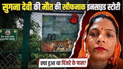 'चाबी उठाई और खुल गया काल का दरवाजा', नाहरगढ़ बायोलॉजिकल पार्क में 6 कैमरे बंद थे या बंद किए गए?