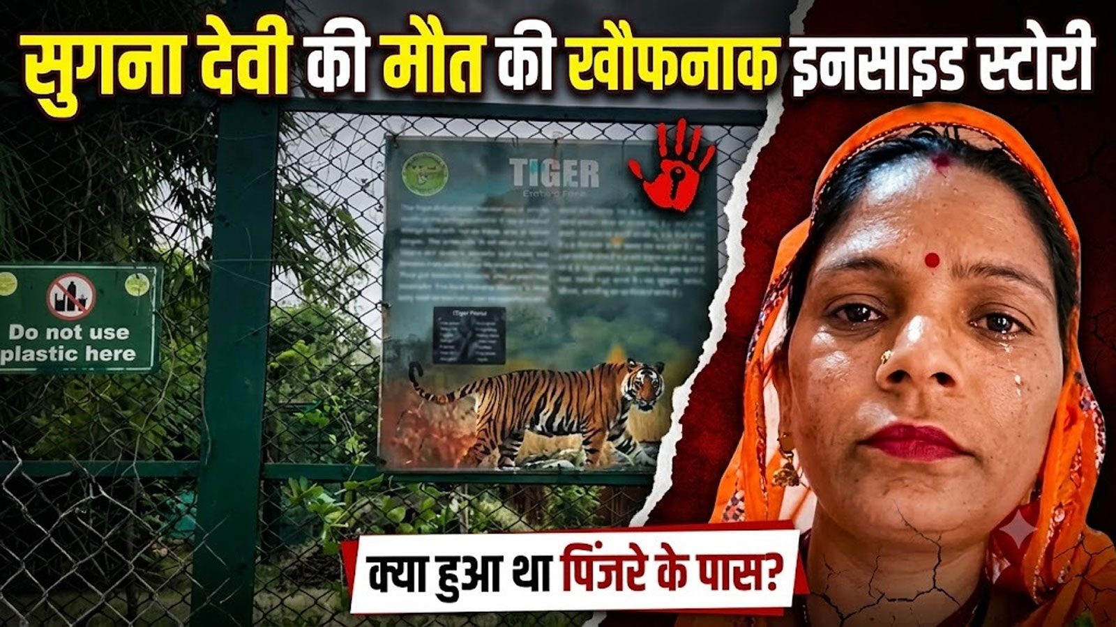'चाबी उठाई और खुल गया काल का दरवाजा', नाहरगढ़ बायोलॉजिकल पार्क में 6 कैमरे बंद थे या बंद किए गए? 'चाबी उठाई और खुल गया काल का दरवाजा', नाहरगढ़ बायोलॉजिकल पार्क में 6 कैमरे बंद थे या बंद किए गए?