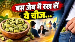 इंटरव्यू हो या बिजनेस डील... जेब में इलायची रखते ही चमकेगी किस्मत! जानें पूरी डिटेल 
