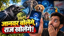 'हैलो! मैं कौआ बोल रहा हूं...' AI की मदद से जानवर करेंगे आपसे बात, मगर ये 1 गलती पड़ेगी भारी!