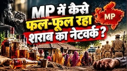 गांव-गांव जहर...सिस्टम बेखबर? MP में कैसे फल-फूल रहा अवैध दारू का नेटवर्क, जहरीली शराब से राज्य में कब-कितनी मौतें, देखें आंकड़े