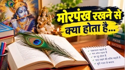 क्या किताबों में मोरपंख रखने से सच में तेज होती है बुद्धि? जानिए इसके पीछे की धार्मिक मान्यताएं और नियम