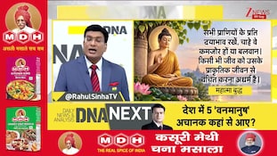 DNA With Rahul Sinha: इंडोनेशिया से बालासोर तक..औरंगुटान पहुंचने का रहस्य! |  orangutans | Odisha
