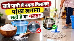 घर में नमक का पोछा लगाते समय न करें ये गलती, जानें इस्तेमाल करने का सही तरीका