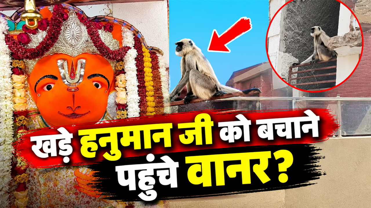उज्जैन में खड़े हनुमान मंदिर के पास पहुंचे बंदर, लोगों ने आस्था से जोड़ा; बोले- हनुमान जी को बचाने खुद पहुंच रहे वानर उज्जैन में खड़े हनुमान मंदिर के पास पहुंचे बंदर, लोगों ने आस्था से जोड़ा; बोले- हनुमान जी को बचाने खुद पहुंच रहे वानर