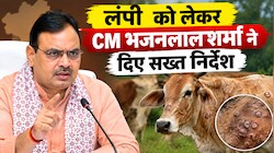 लंपी स्किन डिजीज पर सरकार अलर्ट:  CM भजनलाल की हाईलेवल मीटिंग, बोले- सावधानी और सतर्कता ही बचाव
