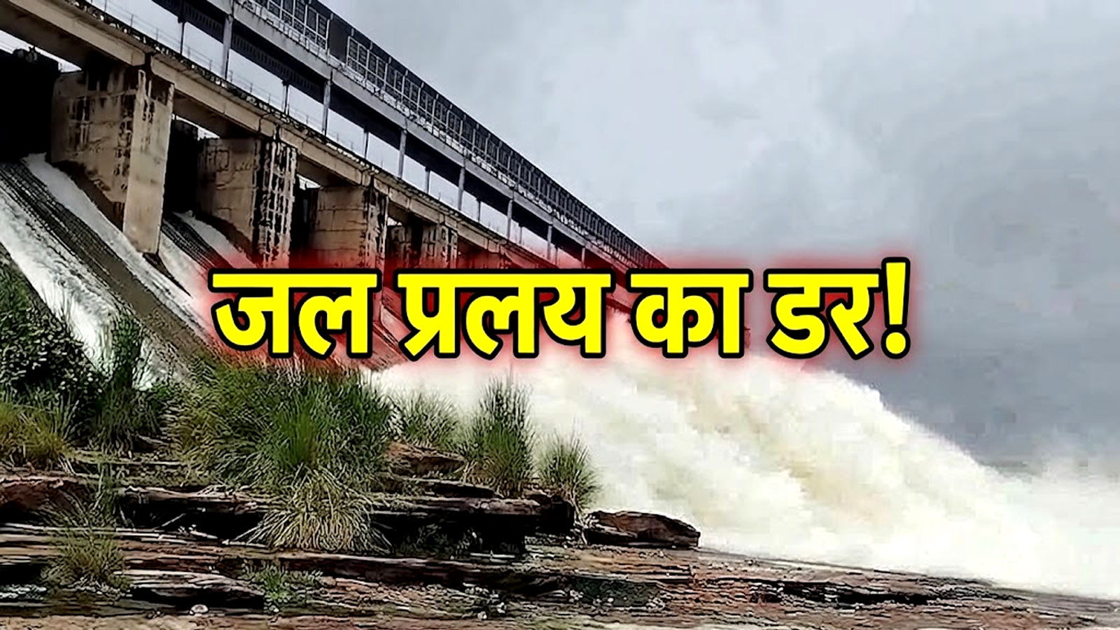 धौलपुर में उफान पर पार्वती: आंगई बांध के खुले दो गेट, सैंपऊ-मणियां क्षेत्र पर मंडराया बाढ़ का खतरा! धौलपुर में उफान पर पार्वती: आंगई बांध के खुले दो गेट, सैंपऊ-मणियां क्षेत्र पर मंडराया बाढ़ का खतरा!