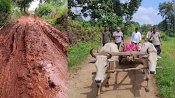बैलगाड़ी पर सिस्टम: शहडोल में एंबुलेंस आई, लेकिन गांव नहीं पहुंची, फिर मरीज को ऐसे ले गए अस्पताल...