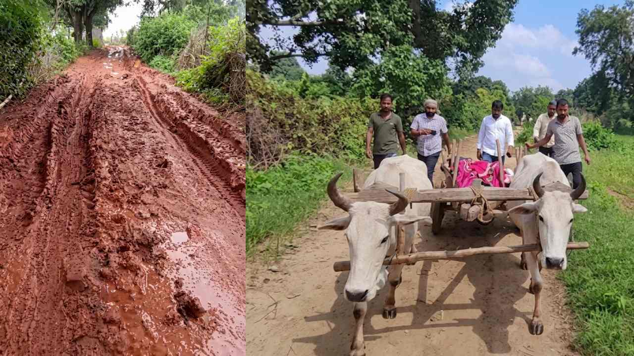 बैलगाड़ी पर सिस्टम: शहडोल में एंबुलेंस आई, लेकिन गांव नहीं पहुंची, फिर मरीज को ऐसे ले गए अस्पताल... बैलगाड़ी पर सिस्टम: शहडोल में एंबुलेंस आई, लेकिन गांव नहीं पहुंची, फिर मरीज को ऐसे ले गए अस्पताल...