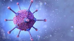 भोपाल में स्वाइन फ्लू का कहर: H1N1 वायरस से पहली मौत, अब तक 65 मरीज आए सामने; इन लक्षणों को न करें नजरअंदाज