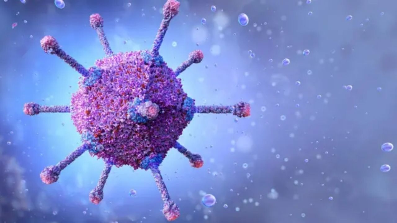 भोपाल में स्वाइन फ्लू का कहर: H1N1 वायरस से पहली मौत, अब तक 65 मरीज आए सामने; इन लक्षणों को न करें नजरअंदाज भोपाल में स्वाइन फ्लू का कहर: H1N1 वायरस से पहली मौत, अब तक 65 मरीज आए सामने; इन लक्षणों को न करें नजरअंदाज