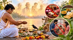 नाराज हो सकते हैं पितर... पितृ पक्ष के 16 दिनों में दूर रखें घर का कलेश, जानिए क्या खाएं और क्या न खाएं?