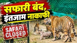 नाहरगढ़ पार्क हादसा: टाइगर अटैक में महिला की मौत के बाद भी नहीं जागा वन विभाग, सुरक्षा इंतजामों की खुली पोल
