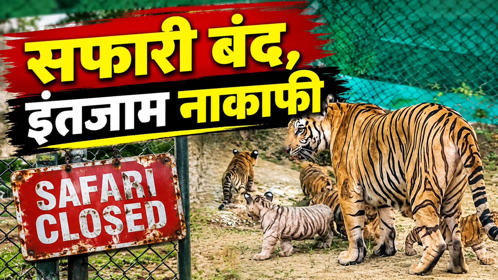 नाहरगढ़ पार्क हादसा: टाइगर अटैक में महिला की मौत के बाद भी नहीं जागा वन विभाग, सुरक्षा इंतजामों की खुली पोल नाहरगढ़ पार्क हादसा: टाइगर अटैक में महिला की मौत के बाद भी नहीं जागा वन विभाग, सुरक्षा इंतजामों की खुली पोल