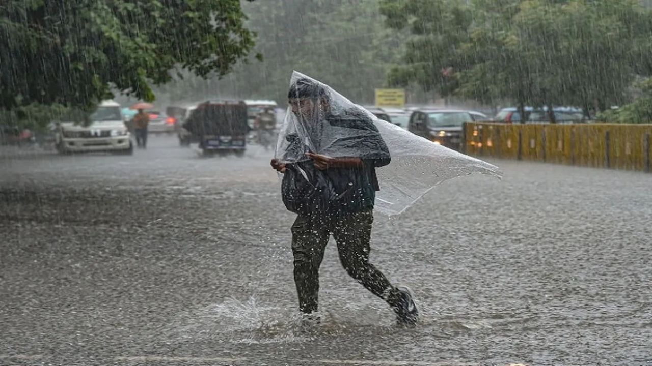 Chhattisgarh Weather Update: एक साथ कई वेदर सिस्टम एक्टिव, छत्तीसगढ़ में झमाझम बारिश के साथ वज्रपात का अलर्ट, रायपुर में 33°C पहुंचा पारा Chhattisgarh Weather Update: एक साथ कई वेदर सिस्टम एक्टिव, छत्तीसगढ़ में झमाझम बारिश के साथ वज्रपात का अलर्ट, रायपुर में 33°C पहुंचा पारा