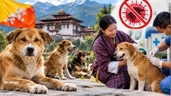 आवारा कुत्तों को न तो मारा और न भगाया... भूटान ने कैसे खत्म किया रेबीज का खौफ? भारत के लिए बड़ा सबक