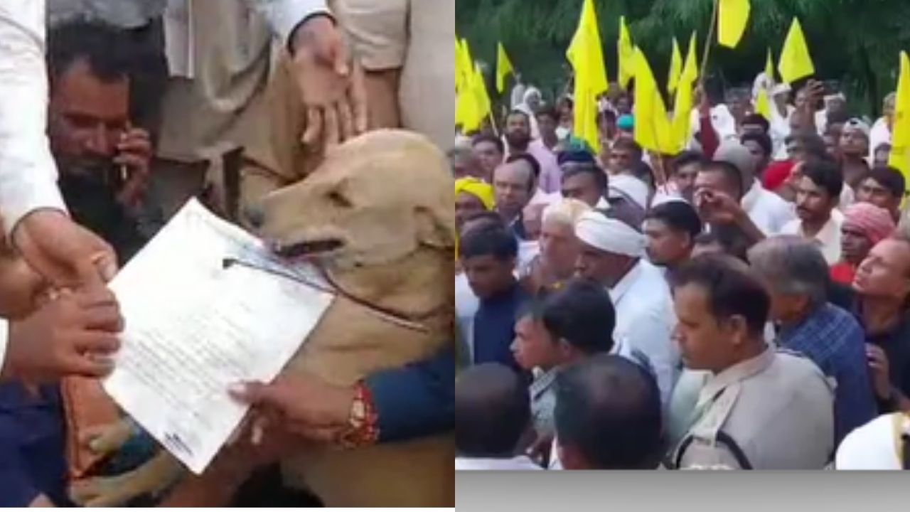 कलेक्टर का इंतजार करते रहे किसान, नहीं पहुंचे तो कुत्ते को दे दिया ज्ञापन...खंडवा से आई अनोखी तस्वीर कलेक्टर का इंतजार करते रहे किसान, नहीं पहुंचे तो कुत्ते को दे दिया ज्ञापन...खंडवा से आई अनोखी तस्वीर