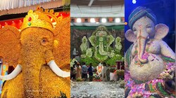देखते ही रह जाएंगे: कहीं पानीपुरी-ड्राई फ्रूट्स से तैयार हुए बप्पा तो कहीं 60 हजार पौधों से सजी प्रतिमा; अनोखे पंडालों की तस्वीरें वायरल