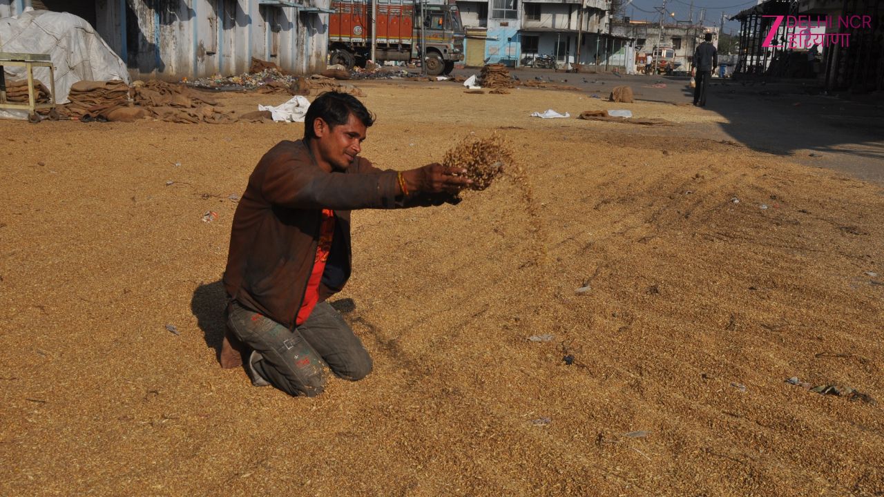 धान खरीद पर किसानों का बड़ा ऐलान: 20 सितंबर तक खरीद नहीं, तो GT रोड होगा जाम धान खरीद पर किसानों का बड़ा ऐलान: 20 सितंबर तक खरीद नहीं, तो GT रोड होगा जाम