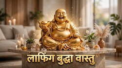 Vastu Tips: लाफिंग बुद्धा का वास्तु से है गहरा संबंध, क्या हैं इसके नियम और टिप्स!