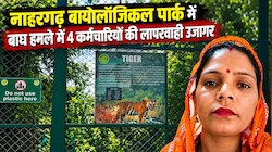 Jaipur News: नाहरगढ़ बायोलॉजिकल पार्क में हमले की जांच रिपोर्ट सरकार को सौंपी, स्टाफ की लापरवाही का खुलासा