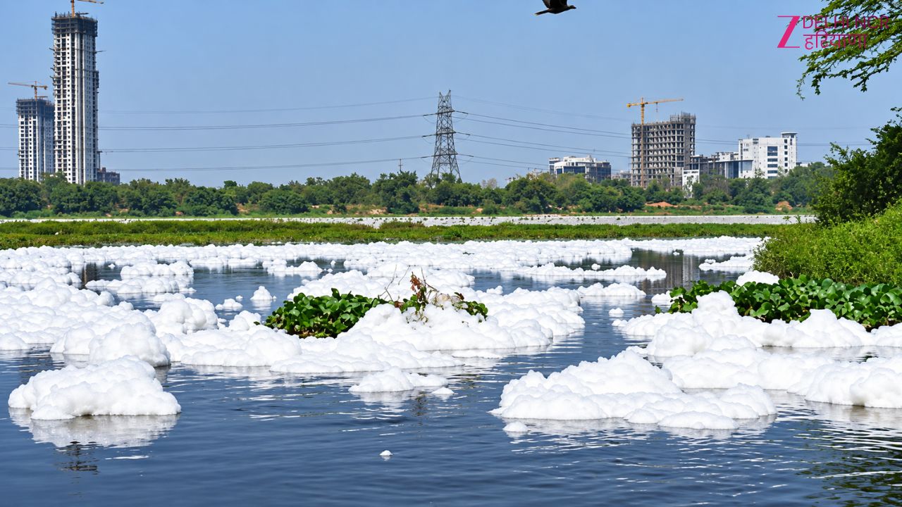 दिल्ली की यमुना में फिर दिखा जहरीला झाग, मानसून में कम पानी ने बढ़ाई परेशानी दिल्ली की यमुना में फिर दिखा जहरीला झाग, मानसून में कम पानी ने बढ़ाई परेशानी