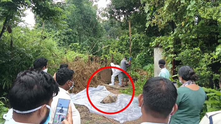 मेरठ 'नीले ड्रम' जैसा कांड! बिलासपुर में लिव-इन पार्टनर की हत्या, राखी पर नहीं आई बहन तो भाई ने खोला मौत का राज