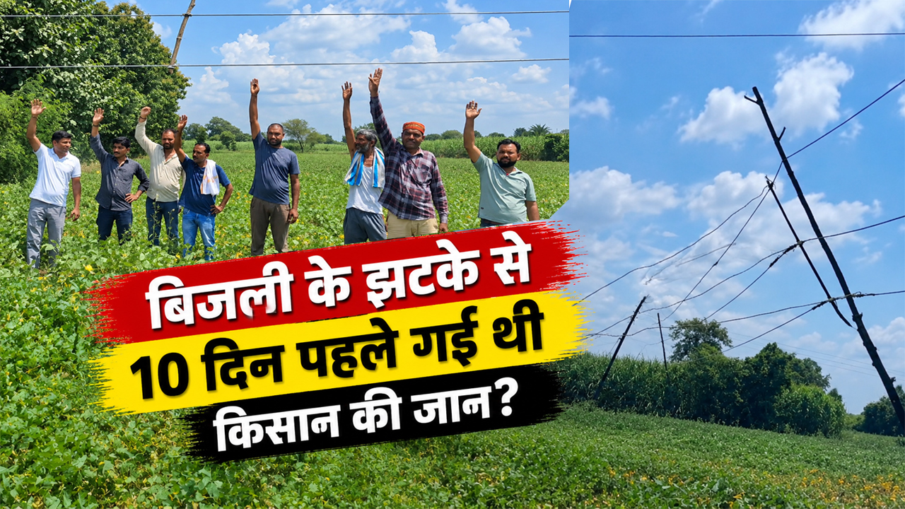 Ground Report: किसान फसल बचाएं या जान? नरसिंहपुर में खेतों के ऊपर 'मौत' का साया; 15 साल से लटक रहे बिजली के तार, कब हटेगा खतरा? Ground Report: किसान फसल बचाएं या जान? नरसिंहपुर में खेतों के ऊपर 'मौत' का साया; 15 साल से लटक रहे बिजली के तार, कब हटेगा खतरा?