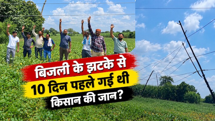 Ground Report: किसान फसल बचाएं या जान? नरसिंहपुर में खेतों के ऊपर 'मौत' का साया; 15 साल से लटक रहे बिजली के तार, कब हटेगा खतरा?