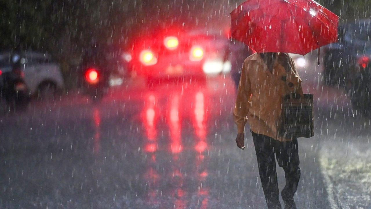 MP Weather Update: भोपाल-इंदौर समेत कई जिलों में बारिश का अलर्ट, ग्वालियर-चंबल में हल्की फुहारें, पढ़ें ताजा अपडेट MP Weather Update: भोपाल-इंदौर समेत कई जिलों में बारिश का अलर्ट, ग्वालियर-चंबल में हल्की फुहारें, पढ़ें ताजा अपडेट